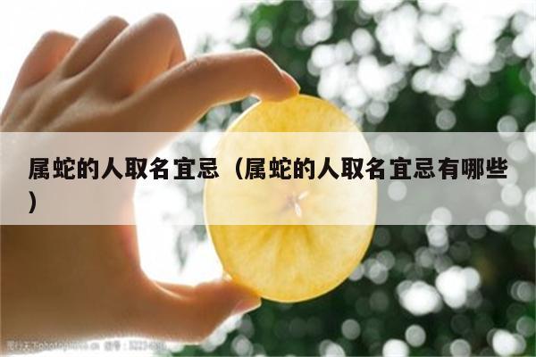 初恋百味 属蛇人会是什么味道