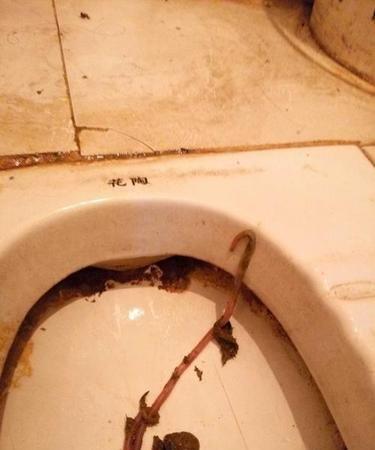 梦见屎拉在床上