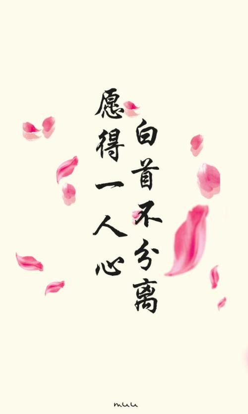 你愿意与谁白首不相离?