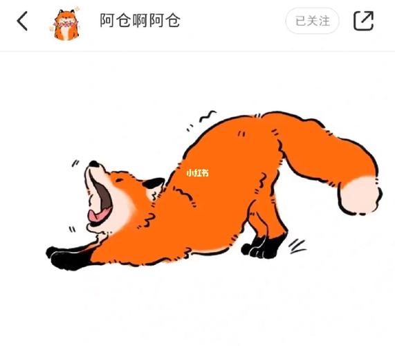 梦到打狐狸怎么打都不走预示着什么