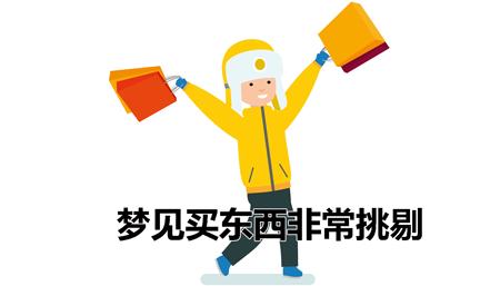 梦见买东西非常挑剔周公解梦,梦见买东西非常挑剔是什么意思?