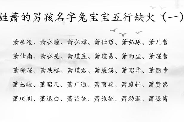 萧氏取名大全男孩名字大全