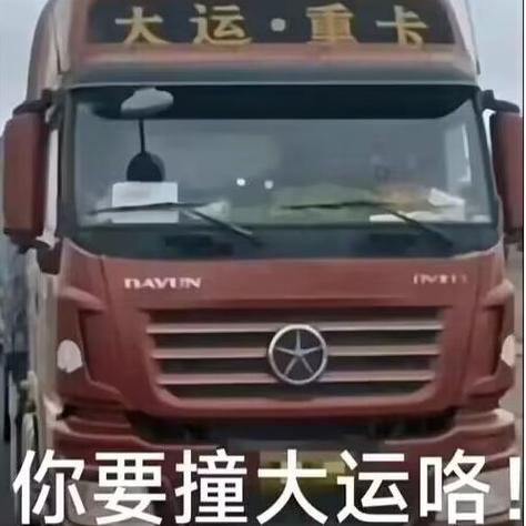 high起来很傻帽的生肖
