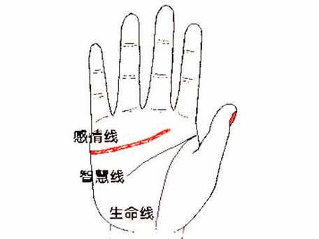 手掌有哪三条纹一生轻松不用愁?