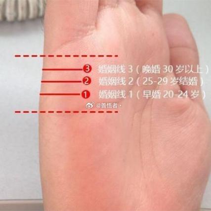 周易姻缘大师解析林志玲八字算命婚姻有望嫁人?