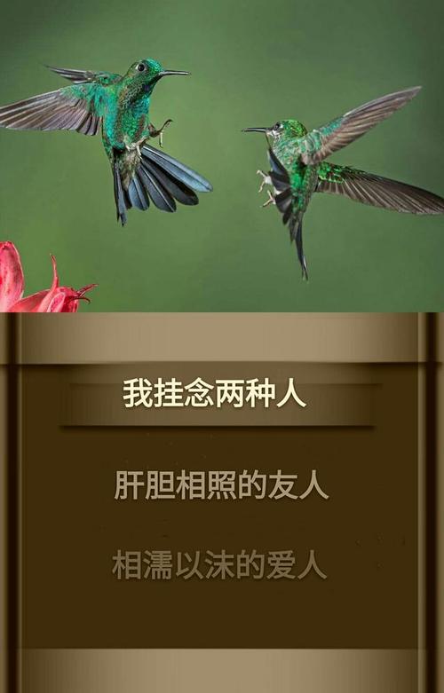 属虎的人如何忘记曾经的爱人