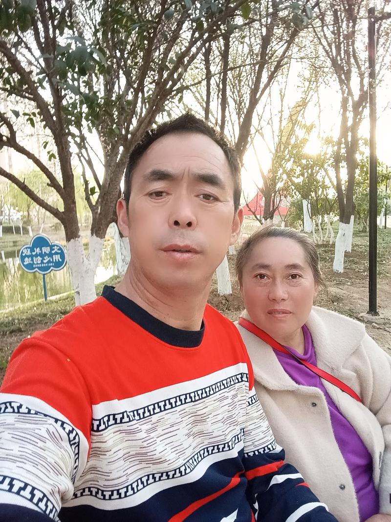 2023年春节期间桃花朵朵开生肖