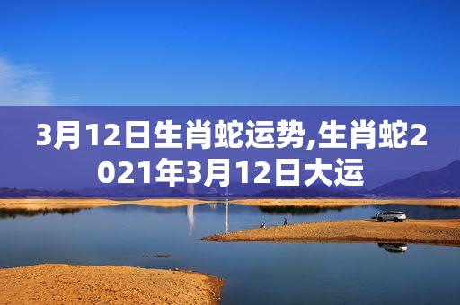 属蛇人2021年3月运势