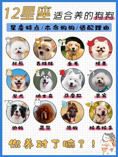 天真!这些星座以为养脂肪可以抗冻