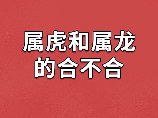 属虎和属龙合不合