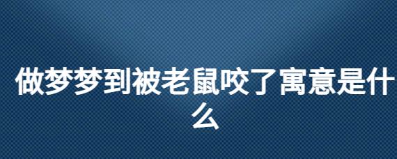 梦见被老鼠咬了