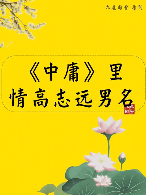 大学中庸取名哪些寓意好有文采