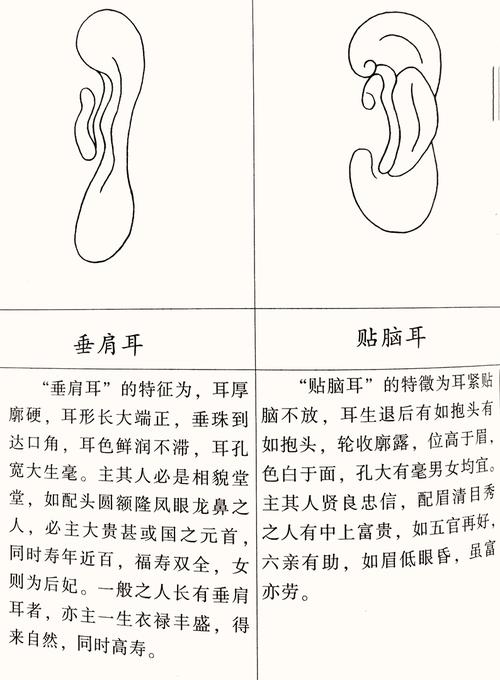 富贵耳相图解大全