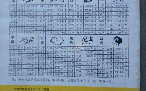 属兔的辰时出生好不好
