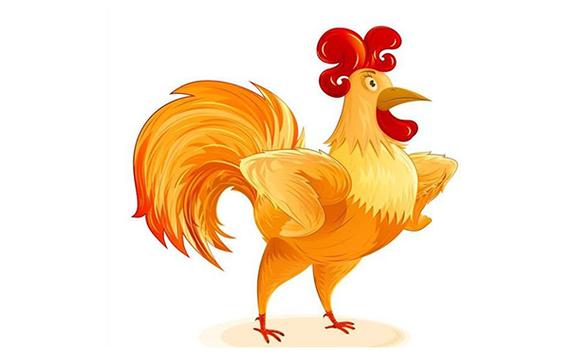 属鸡为什么追不到自己喜欢的人