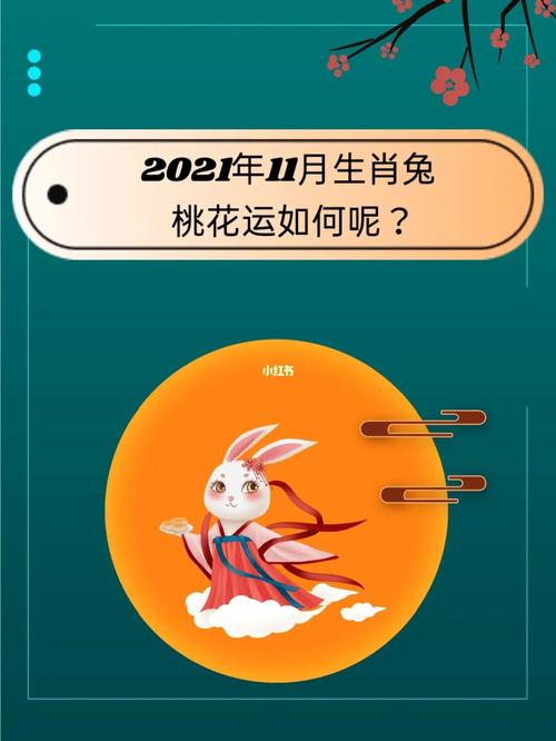 属兔2021年11月运势