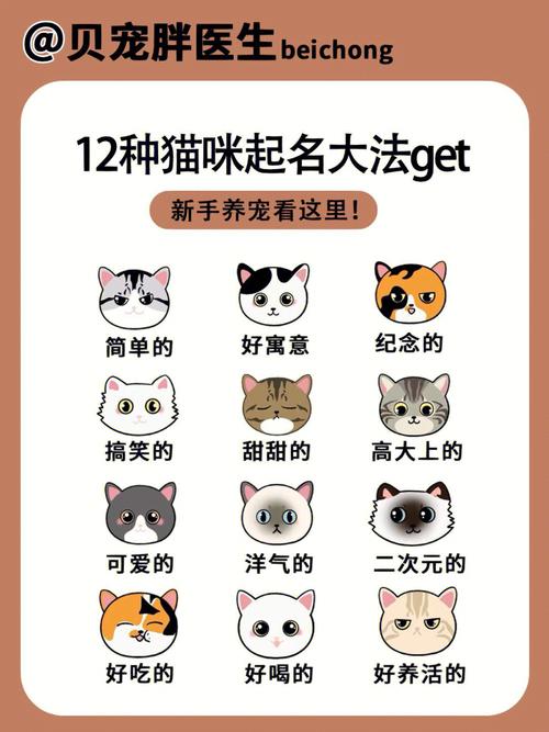 宠物起名 又欠月兑