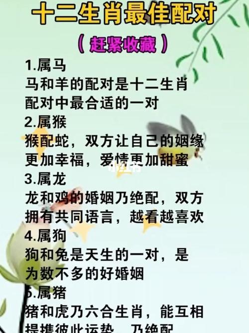 十二生肖结婚配对禁忌的属相介绍