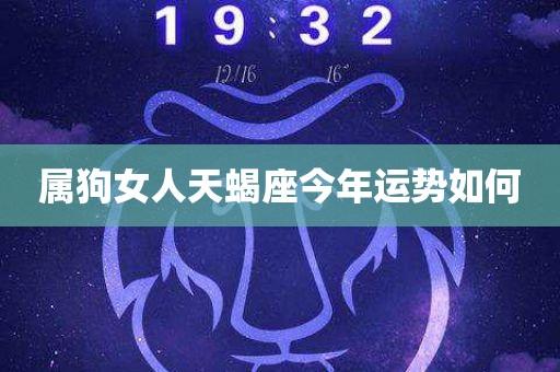 属狗 天蝎座运程