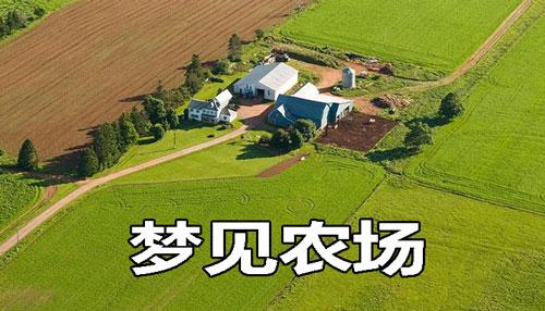 梦见农场好不好