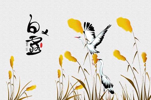 白露过后,这三大生肖要走好运了!
