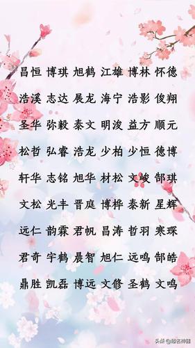 男孩带官运大气的名字