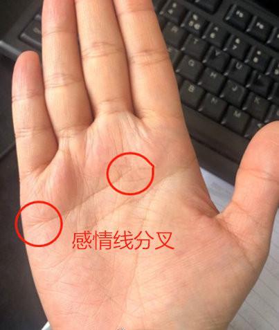 感情线分叉旁边又生出一条支线