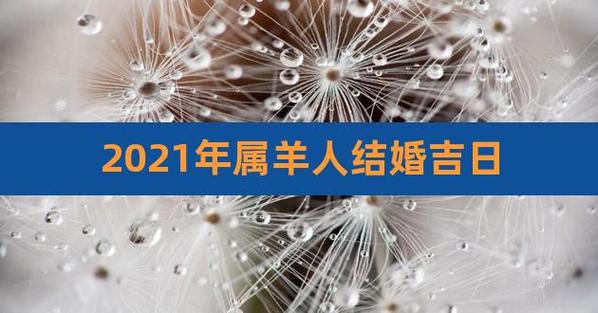 属羊的2021年什么时间结婚好