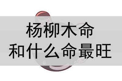 杨柳木命和天上火命相克吗