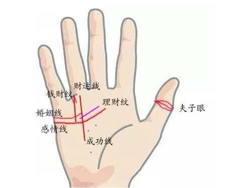 手的纹路怎么看财运