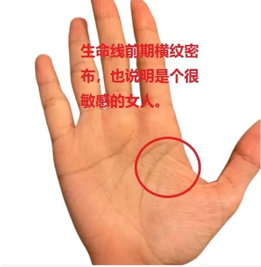 一马平川的女人手相