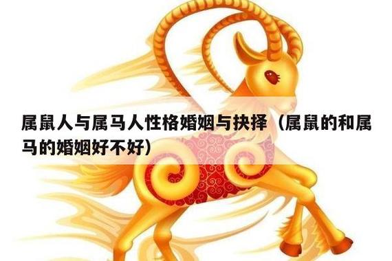 属鼠和属马的婚姻的婚姻怎么样?属鼠和什么生肖最相配?