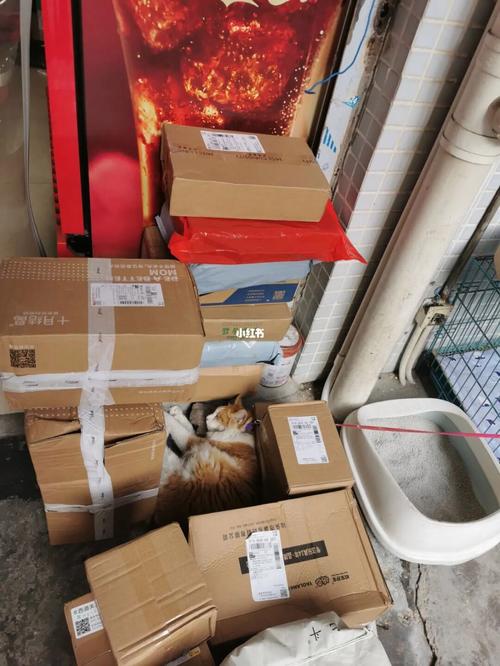 梦见寄快递是什么意思