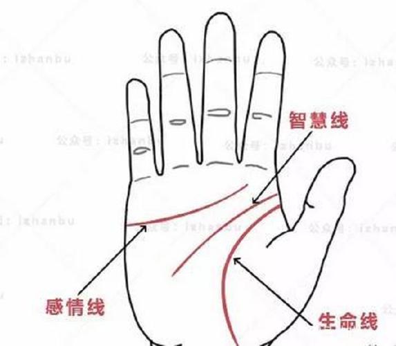 手相男三条平行线