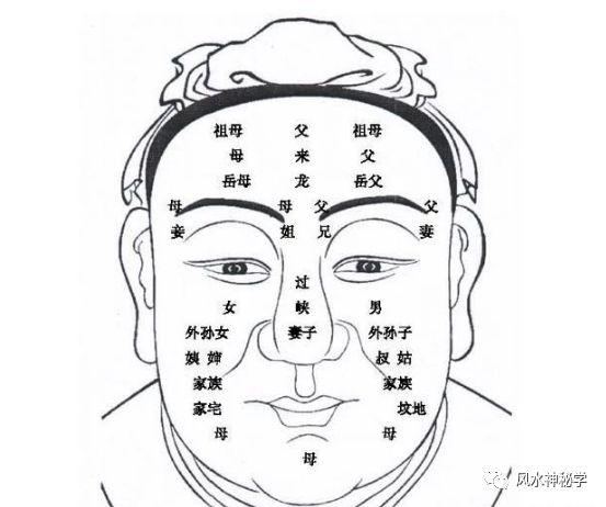 面相申字脸解析