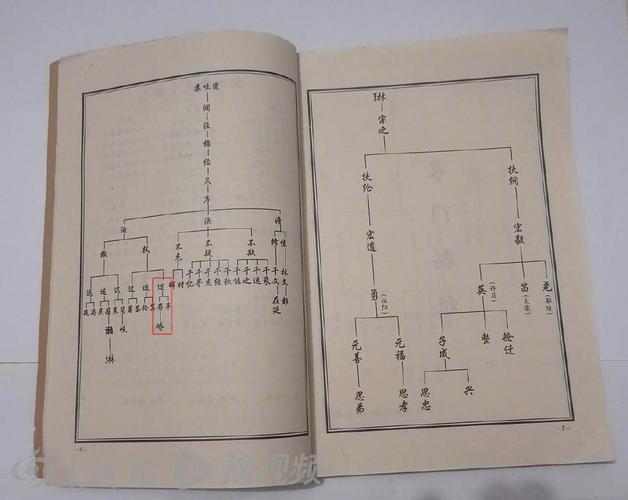 后世子孙必知!计姓家谱字辈排行