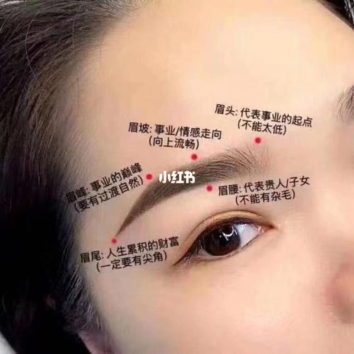 眉毛里长痘痘有什么风水讲究