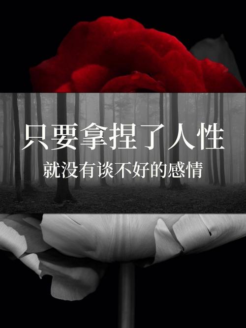 婚姻感情不顺 其实命运早有安排桃花运未到罢了