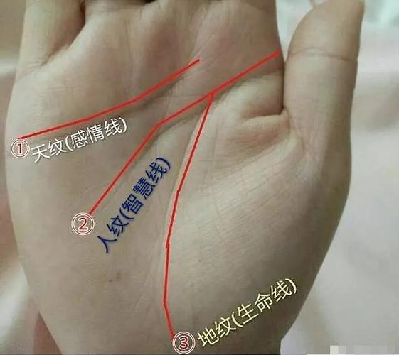 三才纹深的男人事业运势如何