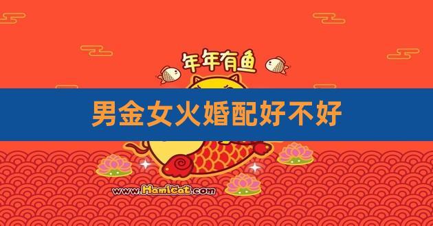 火命跟金命结婚好吗