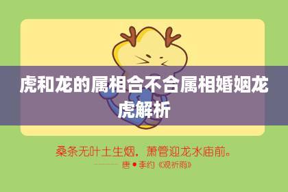 龙虎属相合不合