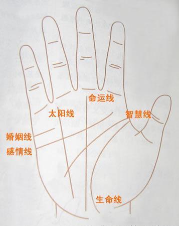女生怎么看手的三条线