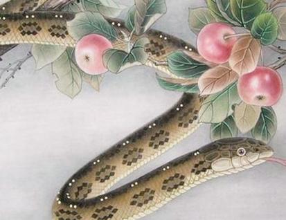 2020鼠年3月生肖属蛇和生肖属鸡结婚好不好