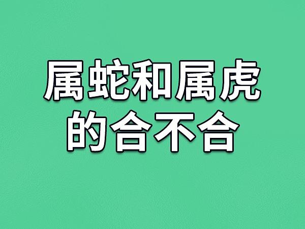 蛇和虎合不合得来