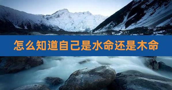 2021年是水命还是木命
