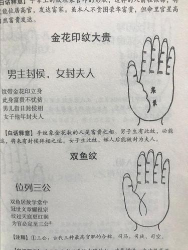 麻衣手相图解 麻衣手相图解男
