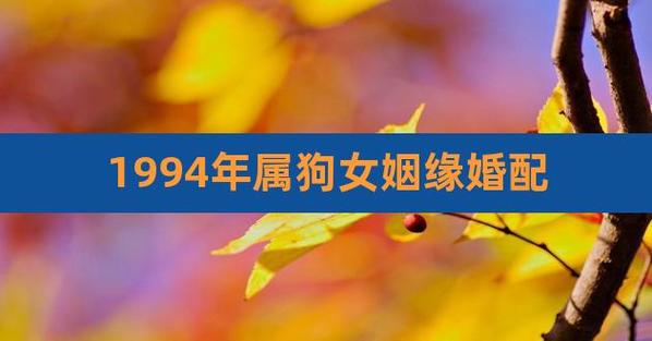 29岁1994年出生属狗的2023年感情婚姻