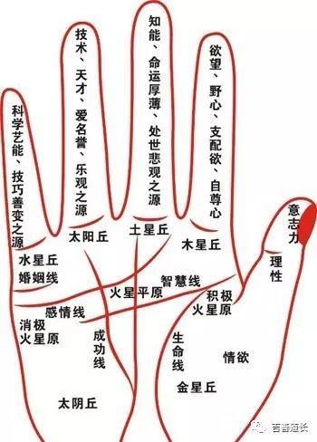 男手相图解大全