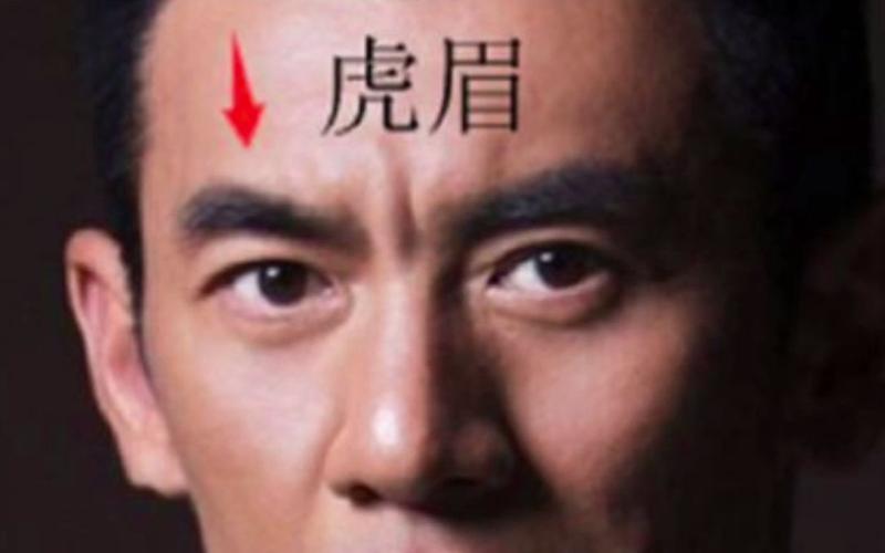 虎眉面相解析 拥有虎眉面相的人命运如何