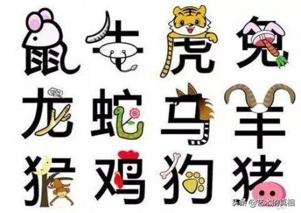 生肖属兔造字姻缘